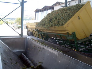 Offloading Bin