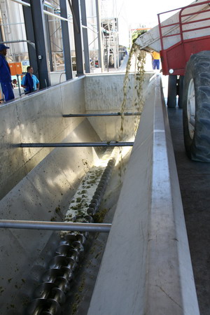 Offloading Bin